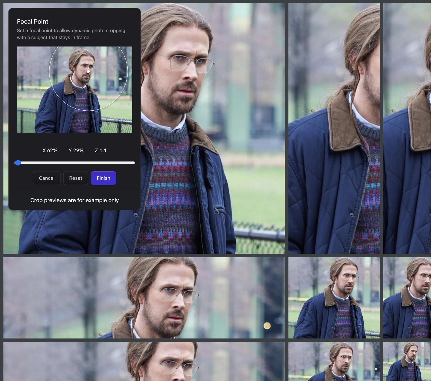 The Focal Point Picker