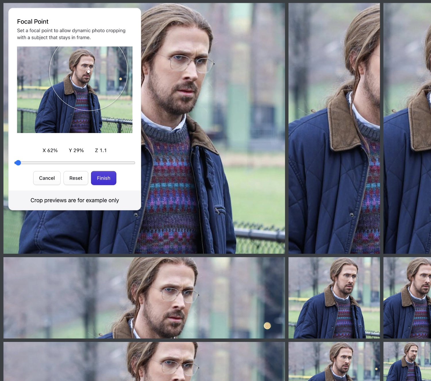 The Focal Point Picker